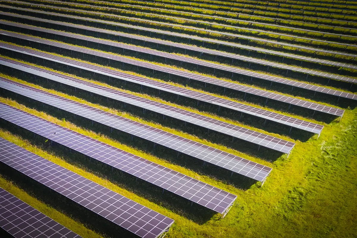 Welche Erträge kann man mit dem Verpachten von Grundstücken für Photovoltaikanlagen erzielen?